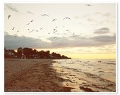 Beach Photography / 11x14 fine art photograph / Sunset Lake / Rochester New York / Birds in Flight / Lake Ontario / Seagulls / Indian Summer