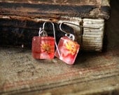moss roses - itty bitty earrings featuring original photographs sealed onto glass