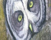 Great Grey Owl Bookmark