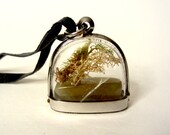 Miniature dome window terrarium locket with jade and green moss tree. Clear windows. Medium length leather chain