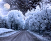 Nature Photograph, Winter Night, Surreal Blue Country Road,Full Moon Twinkling Stars,Dreamy Fine Art Fantasy Photo 8" x 12" - KathyFornal