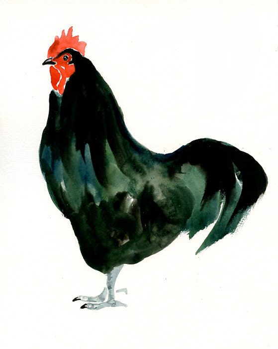 BLACK ROOSTER Original watercolor painting 8x10inch