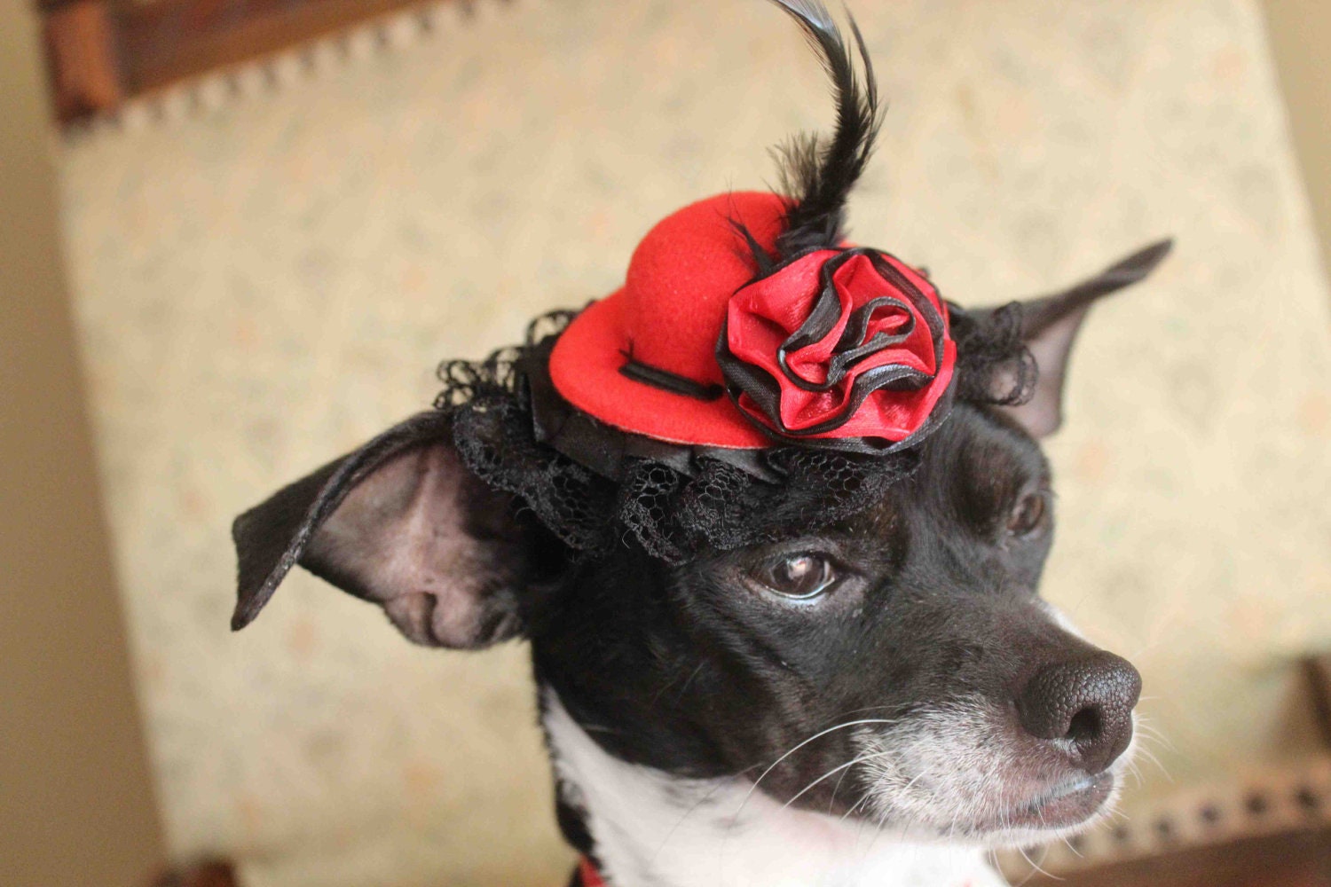 Cute red   color  mini  hat with   feather and   flowers for dog or cat