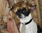 Cute  wig  for dog or cat