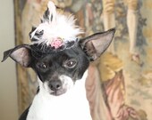 Cute black  color  mini  hat with black   and white color   feather and   flowers for dog or cat
