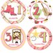 COWGIRL Baby Girl Monthly Onesie Stickers Western Country Guitar Pink Boots