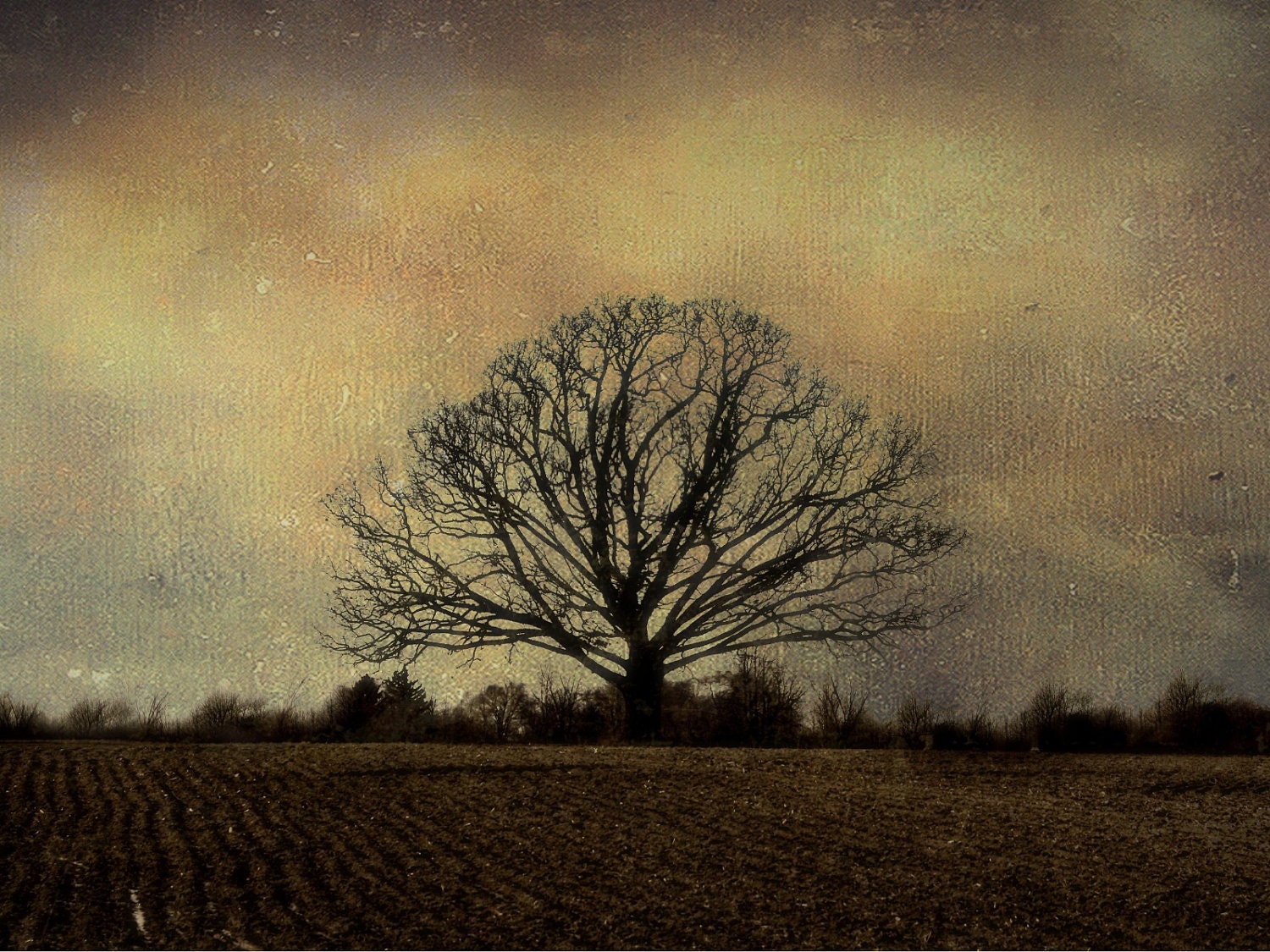 Nature Photography Print - Autumns Passing 8x10 Fine Art Print