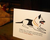 Courage: German Shepherd
