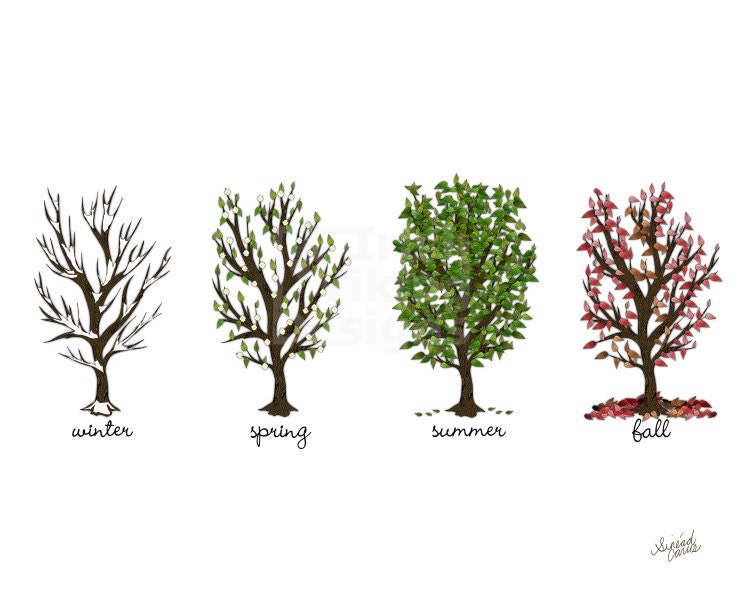 Four Seasons of Trees original illustration 8x10 art print, four seasons art, four seasons, rustic, woodland, seasonal home decor - IrishVikingDesigns