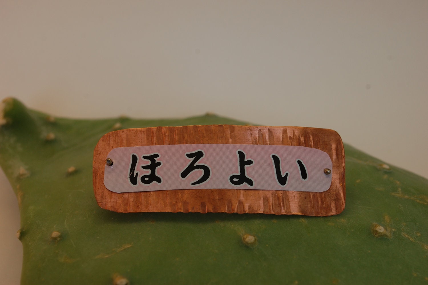 Recycled roof copper and recycled Japanese beer can barrette