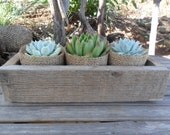 Succulent Centerpiece, Rustic Rox, Great For Weddings, Cocktail Parties And Other Special Events, Housewarming Gift