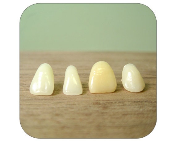 Vintage Acrylic Teeth - Incisors -  Set of 4 - Lot 1240