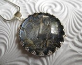 Stardust-Ride The Wind-Victorian Crown Pendant-Dandelion Seeds-Glistening Dusty Blue Background-Symbolizes Happiness