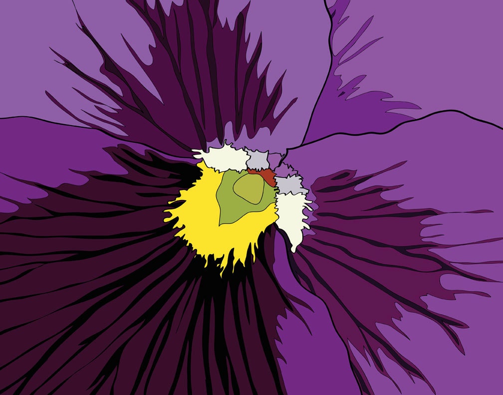 Royal Purple Pansy Flower Macro ( 11x14 size ) - AngelaTraunig
