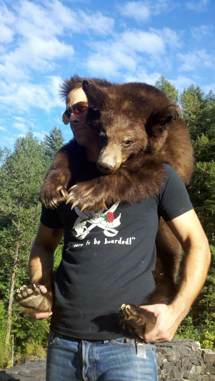 Custom made for buyer - Soft Sculpture Taxidermy - Black Bear