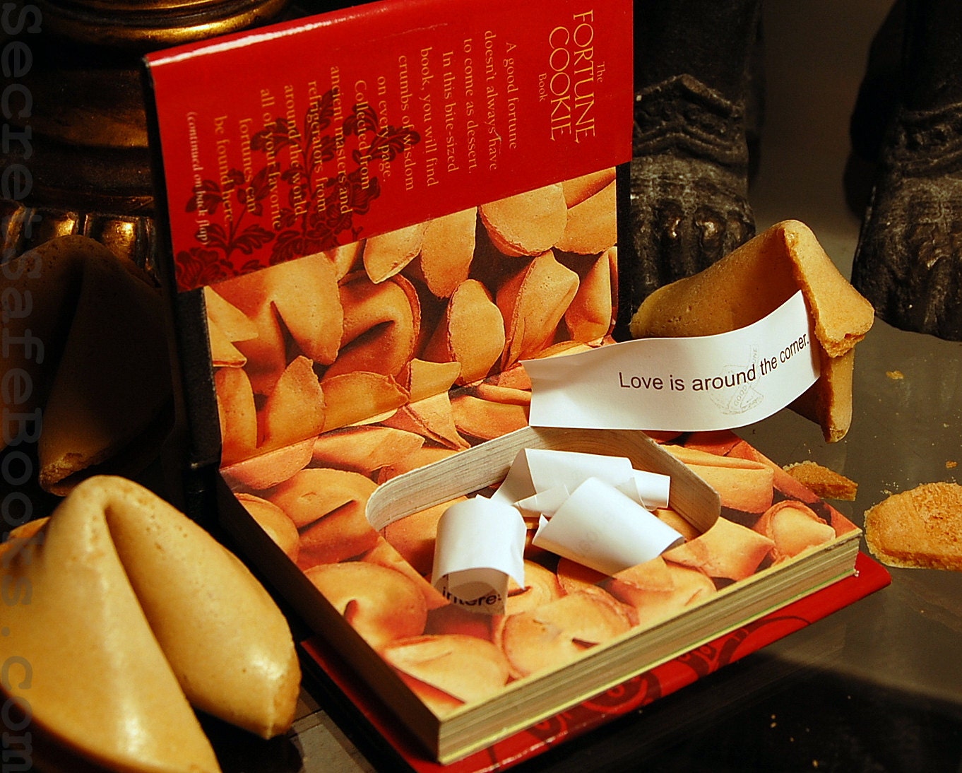 Hollow Book Safe Mini (THE FORTUNE COOKIE)