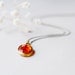 Limited - Amber Amulet necklace