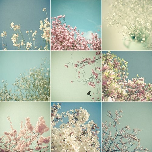 Flower photograph set - Blossom tree, magnolia, nature, pastel candy colours, home decor - Set of Nine 4x4" Mini Prints - Flowers