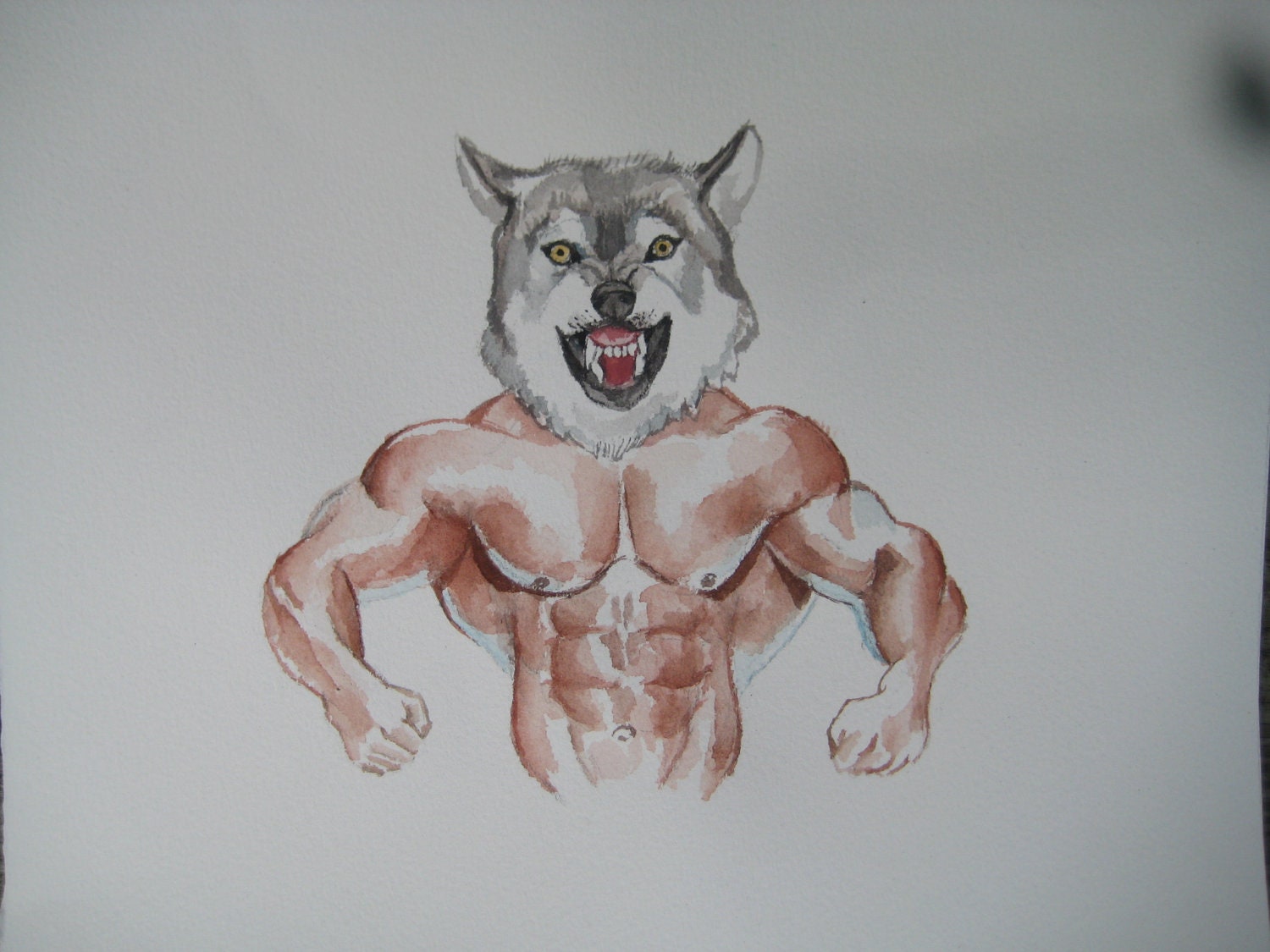 Body building wolf original watercolor