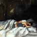 Striped Sleeper . giclee digital art print of couple in bed painting