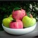 Primitive Apples