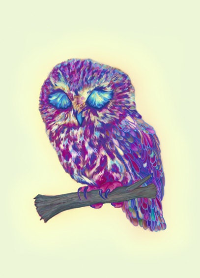 Sleepy Owl - Limited Edition Print