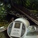 Del Mar Natural Solid Perfume Gypsy Apothecary  Chamomile,Ylang Ylang,Lime, White Tea,Sandalwood, Oakmoss