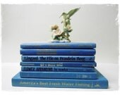 7 BLUE BOOKS Collection  - Group - Instant Photography Decor Prop - Fiction Decor