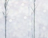 Soft winter moment / blue photograph / fine art print / by Kitoki - 8x12 - kitoki