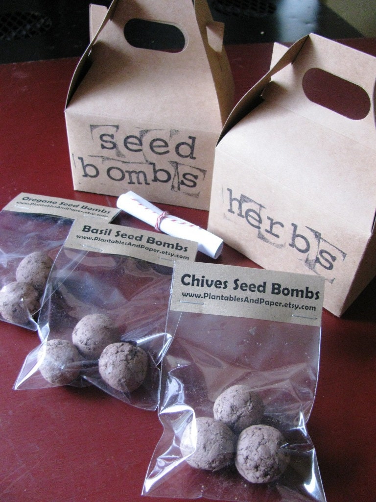 Mini herb garden seed bomb kit- Includes 3 Oregano, 3 Chives, 3 Basil seed bombs- 9 total seed bombs