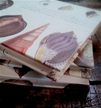 Mini Seashells Journal