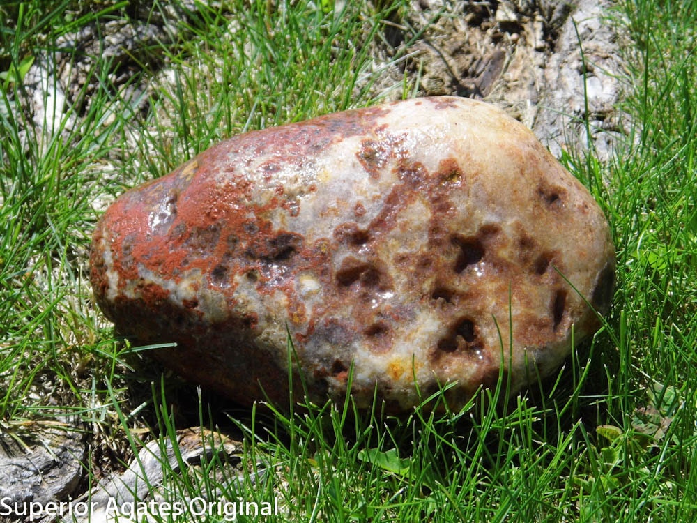9 LB Lake Superior Amygdaloid Agate Collectable Specimen