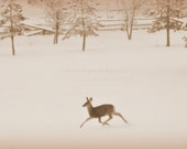 Snowy Deer in the Meadow, Winter Photography, Sepia, Fine Art Photograph - blindwolfspirit
