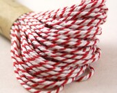 Sample size CHUNKY Red & White Bakers Twine String for crafting, gift wrapping, packaging, invitations - 15 yards