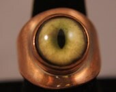 Bobcat Taxidermy eye ring in Copper By Adrian Prazen