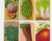 24 Vintage French Vegetable SEED PACKET LABELS (Set C) Old Illustration