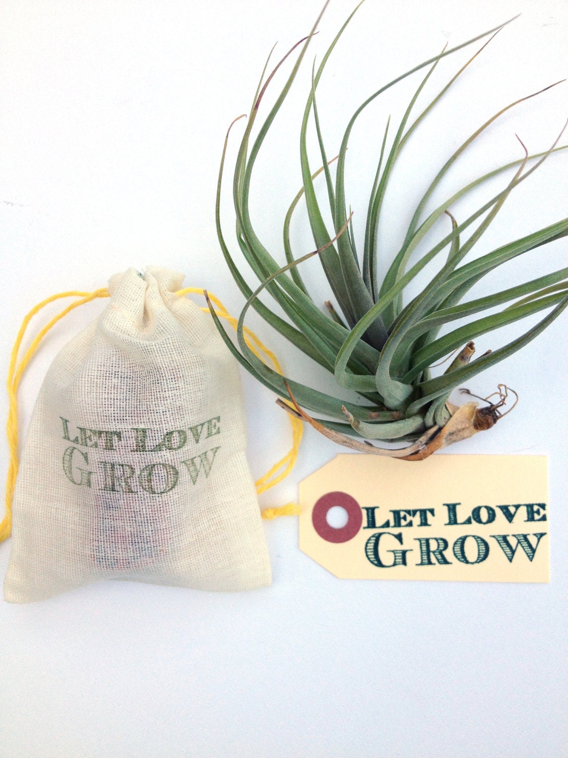 Let Love Grow. Custom Wedding Stamp for Favors or Decoration. Perfect for the DIY Bride. Ready to Ship.
