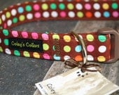 Dog Collar Medium 1" Ready to Ship Sale