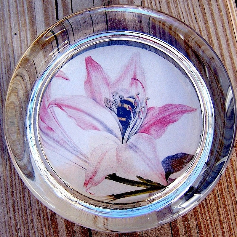 British Botanical Floral Print Pink Lily Flower with Bee Illustration Ladies Office Desk Paperweight OOAK