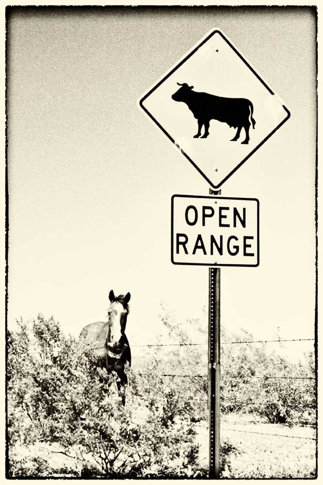 Open Range - A Fine Art Photography of a horse and open range sign