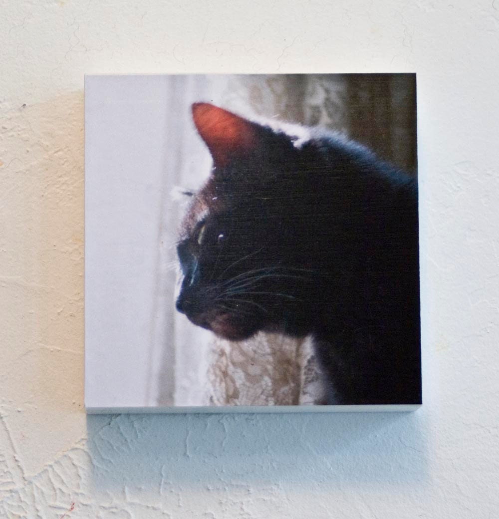 Mimi 4x4 Wood Mount Print