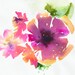 Original Watercolor Painting, Watercolour Flowers of India.