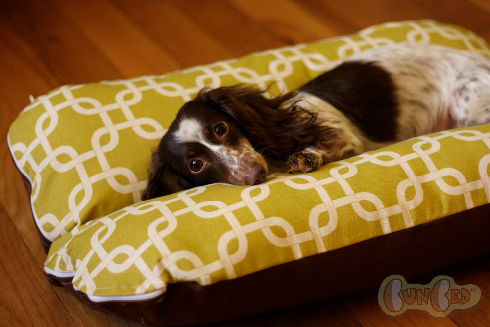 Deluxe Bunbed Dog bed for Dachshunds and other small dogs - Modern Green squares