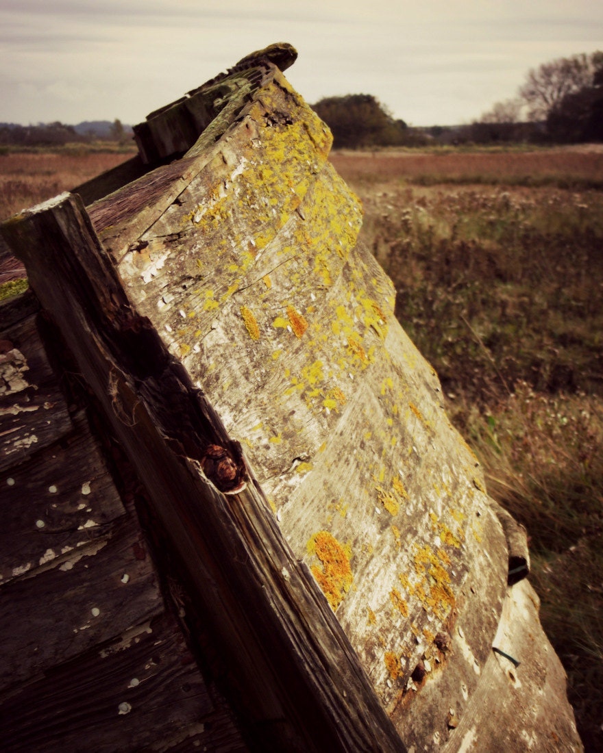 Old Boat Photography Lichen Neutral Tones Home Decor 10x8 Print Weathered