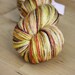 Hand Dyed Yarn / Fingering Weight / Burnt Orange Brown Gold Amber Silk Merino Wool