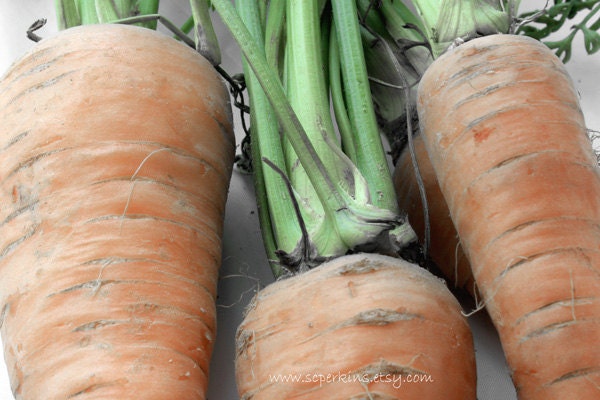 Fresh Food Photography Vegetable Photography Kitchen Wall Art Fine Art print 8x10 IN STOCK farmers market carrots Free US Shipping
