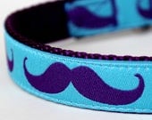 Mustache Dog Collar / Purple Mustache on Aqua Blue background / large mustache print / Last One