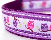 Pair Of Owls Dog Collar on lavender  / 1 inch width