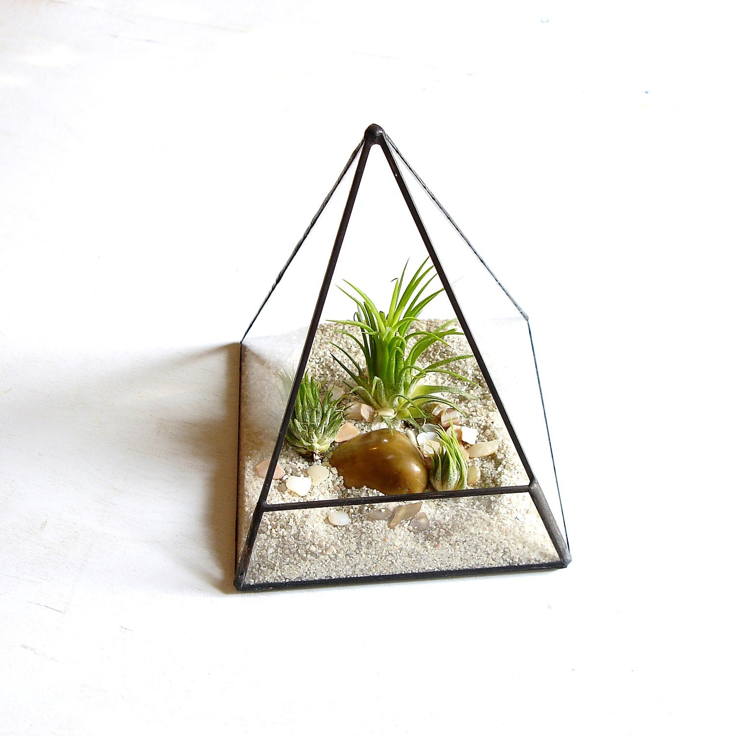 Terrarium, Glass Pyramid Planter with Air Plant, DIY, Desk Accessory