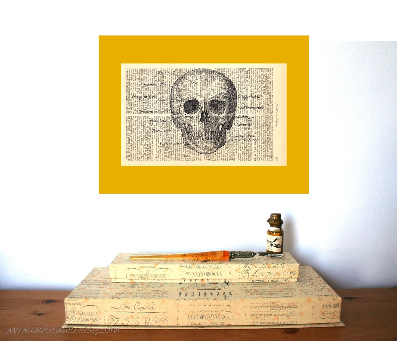 Anatomical Skull Vintage Art Print on Antique 1896 Dictionary Book Page